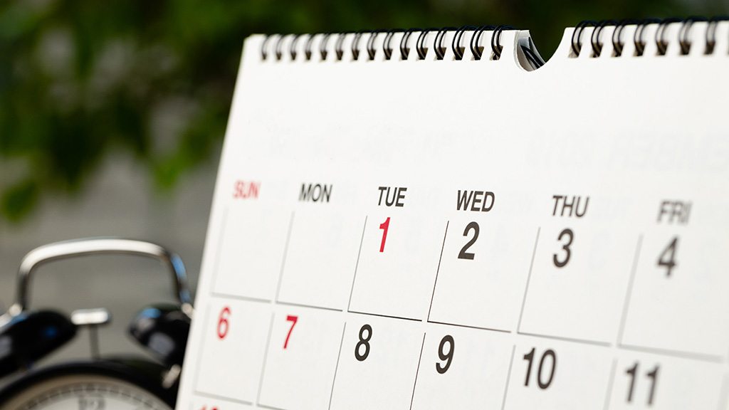 March 2025 at Sophia